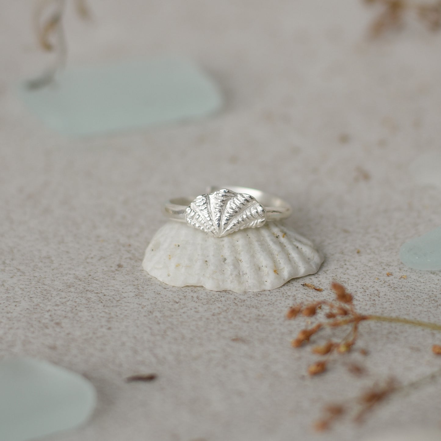 Venus Shell Ring