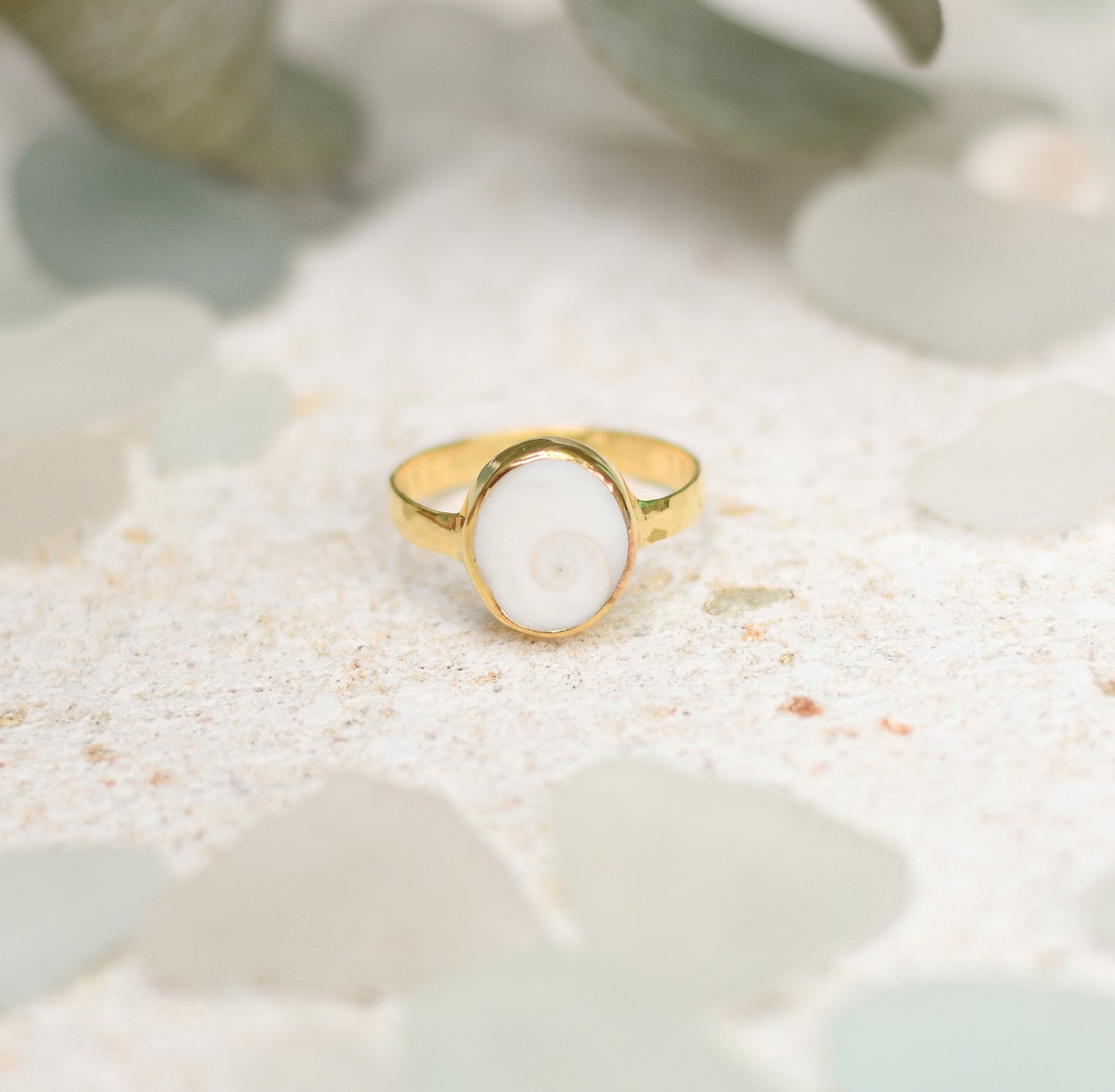 Round Shiva Eye Shell Ring