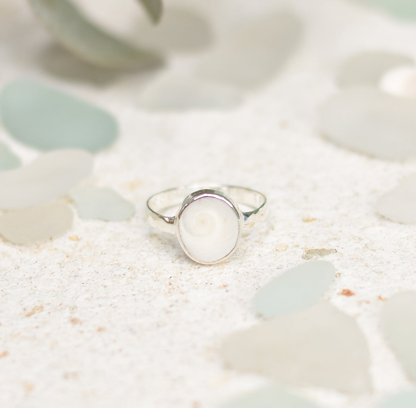 Round Shiva Eye Shell Ring