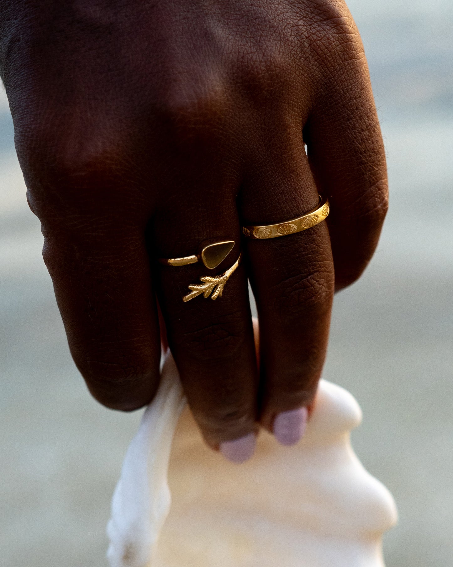 Shell Band Ring